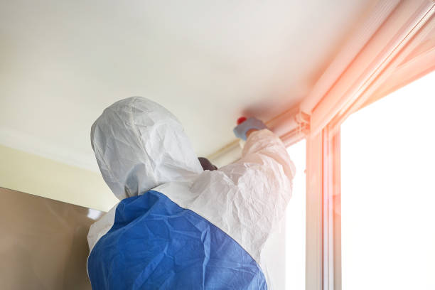 Best Emergency Mold Remediation  in Lucasville, OH