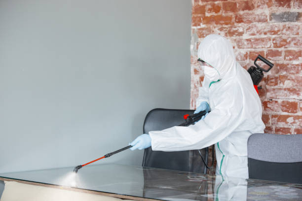 Best Industrial Mold Remediation  in Lucasville, OH