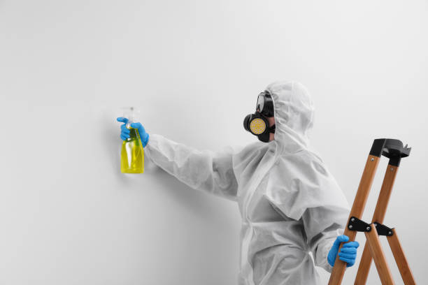 Best Mold Remediation for Healthcare Facilities  in Lucasville, OH